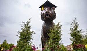 Truman the tiger statue wearing a morterboard